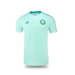 Training Top Mint